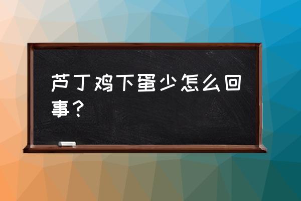 鸡突然不生蛋是哪里的问题 芦丁鸡下蛋少怎么回事？