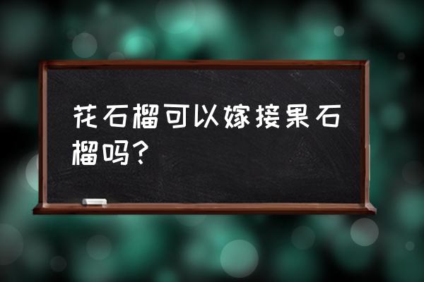 花石榴与果石榴图片比较 花石榴可以嫁接果石榴吗？