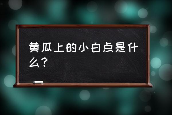 黄瓜叶子长白斑怎么治 黄瓜上的小白点是什么？