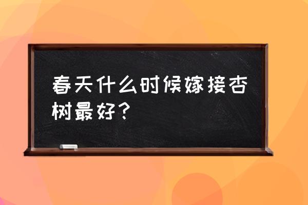 杏树扦插的最佳方法是什么 春天什么时候嫁接杏树最好？