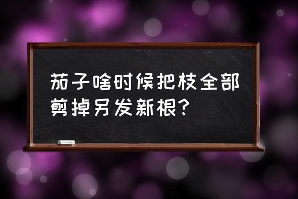 茄子的修剪时间和方法 茄子啥时候把枝全部剪掉另发新根？