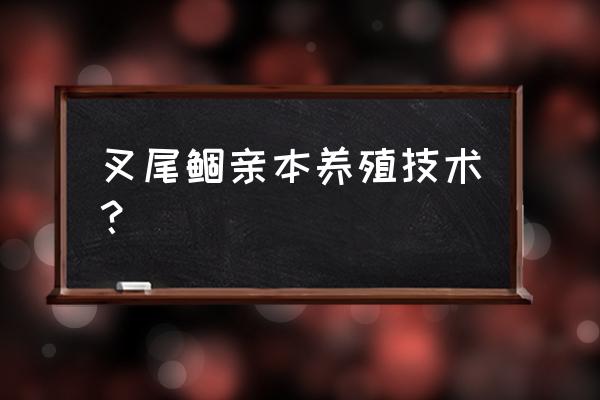 斑点叉尾吃什么饲料 叉尾鲴亲本养殖技术？