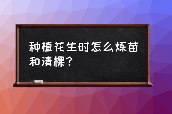 花生种植技术花生苗期管理 种植花生时怎么炼苗和清棵？