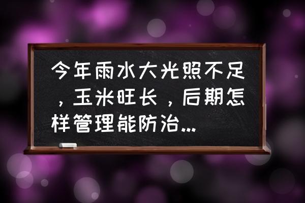 玉米贪夜蛾防治最好的方法 今年雨水大光照不足，玉米旺长，后期怎样管理能防治籽粒不饱满？