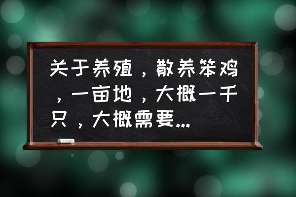 1000亩果园种植需要请多少人 关于养殖，散养笨鸡，一亩地，大概一千只，大概需要投资多少？