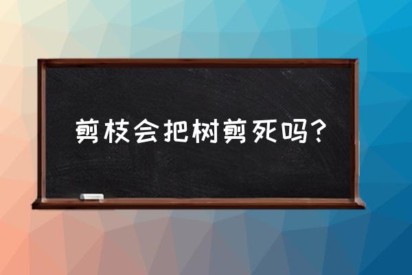 怎么剪连成一排的大树 剪枝会把树剪死吗？