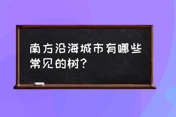 江浙排名前10水杉林 南方沿海城市有哪些常见的树？