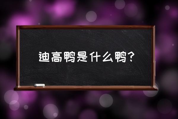 大鹅标志的农场游戏是什么游戏 迪高鸭是什么鸭？