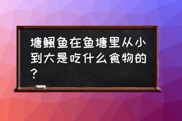 各种鱼爱吃什么食物 塘鲺鱼在鱼塘里从小到大是吃什么食物的？