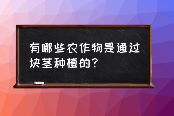 塑料布种山药的方法 有哪些农作物是通过块茎种植的？