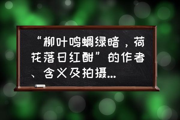 拍荷花的十大思路 “柳叶鸣蜩绿暗，荷花落日红酣”的作者、含义及拍摄思路有哪些？