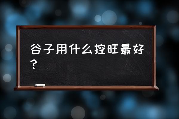 浇什么可以让小植物旺长 谷子用什么控旺最好？