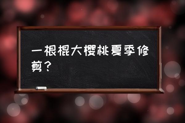 大樱桃树修剪在什么时候最好 一根棍大樱桃夏季修剪？