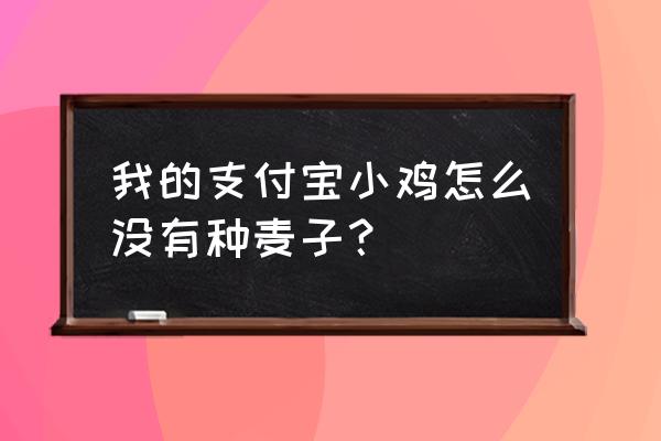 蚂蚁庄园里的麦子在哪里 我的支付宝小鸡怎么没有种麦子？