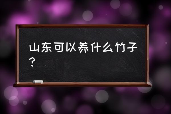 园林中竹子的种植 山东可以养什么竹子？