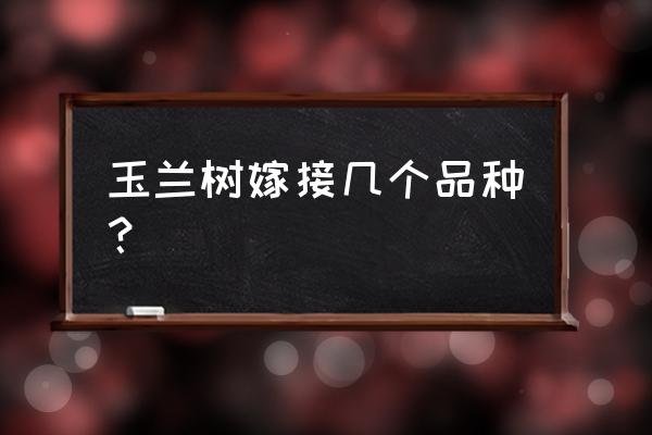 玉兰树嫁接最佳时间 玉兰树嫁接几个品种？