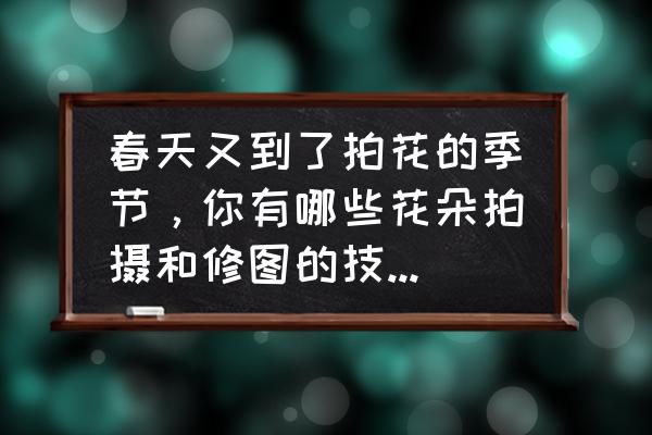 花海创意拍摄手法 春天又到了拍花的季节，你有哪些花朵拍摄和修图的技巧可分享？