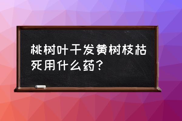 桃树叶子太多怎么治 桃树叶干发黄树枝枯死用什么药？