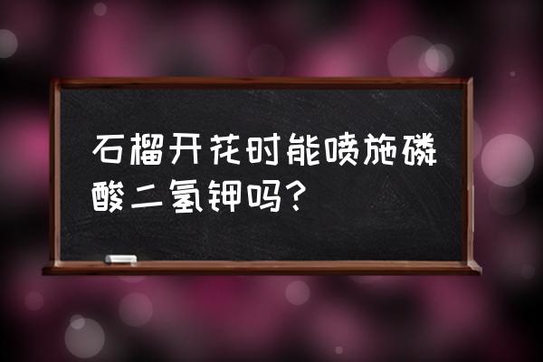 石榴花期防虫打什么药 石榴开花时能喷施磷酸二氢钾吗？