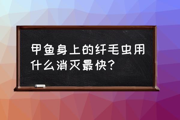 敌百杀虫粉可以兑水吗 甲鱼身上的纤毛虫用什么消灭最快？