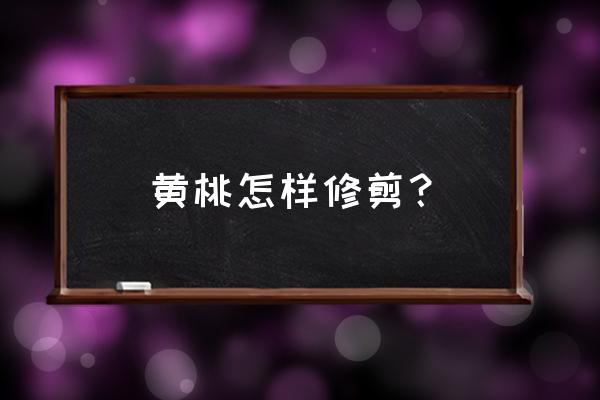 黄桃什么时候修剪最好 黄桃怎样修剪？