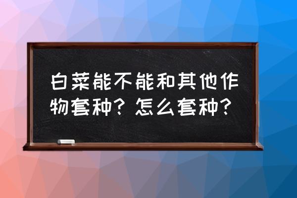 立冬露天适合种什么菜 白菜能不能和其他作物套种？怎么套种？