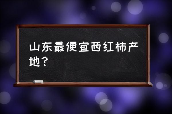 有机小番茄好不好 山东最便宜西红柿产地？