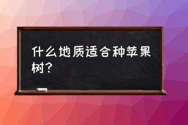 苹果树适合什么地方种植 什么地质适合种苹果树？