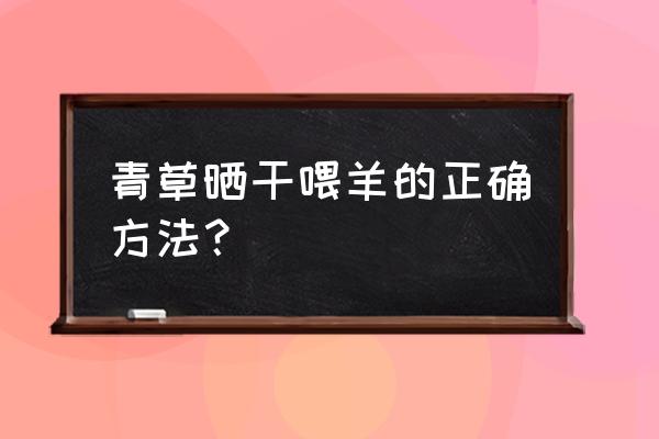 晒干的手青干怎么吃 青草晒干喂羊的正确方法？