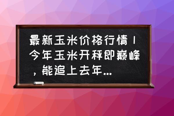 玉米最新价格在哪里查看 最新玉米价格行情丨今年玉米开秤即巅峰，能追上去年的高价吗？