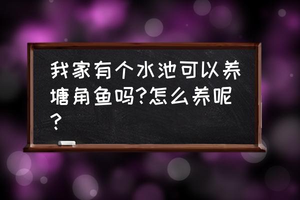 塘角用什么饵钓 我家有个水池可以养塘角鱼吗?怎么养呢？