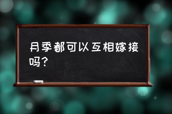 月季嫁接有几种方法 月季都可以互相嫁接吗？