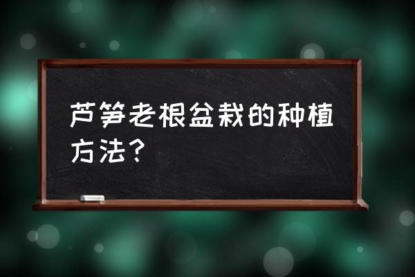 买的芦笋苗根怎么栽 芦笋老根盆栽的种植方法？