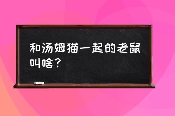 汤姆猫里的灰色小老鼠叫什么 和汤姆猫一起的老鼠叫啥？