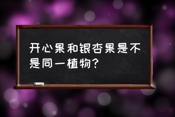 开心果树适合什么地方种植 开心果和银杏果是不是同一植物？