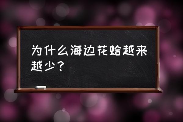 怎么判断沙滩有没有蛤蜊 为什么海边花蛤越来越少？