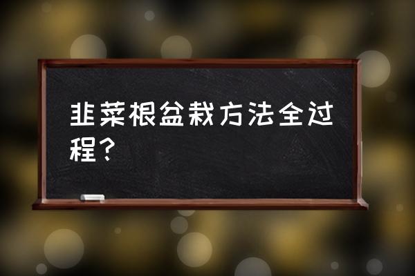 盆景韭菜施什么肥料 韭菜根盆栽方法全过程？