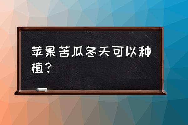 夏季苦瓜怎么能留着冬天吃 苹果苦瓜冬天可以种植？