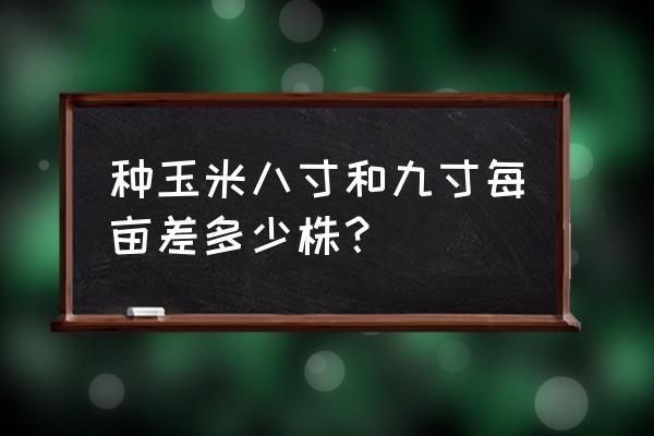 玉米行距株距多少最佳 种玉米八寸和九寸每亩差多少株？