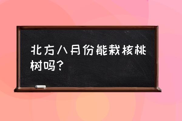 冬季种植核桃苗的方法 北方八月份能栽核桃树吗？