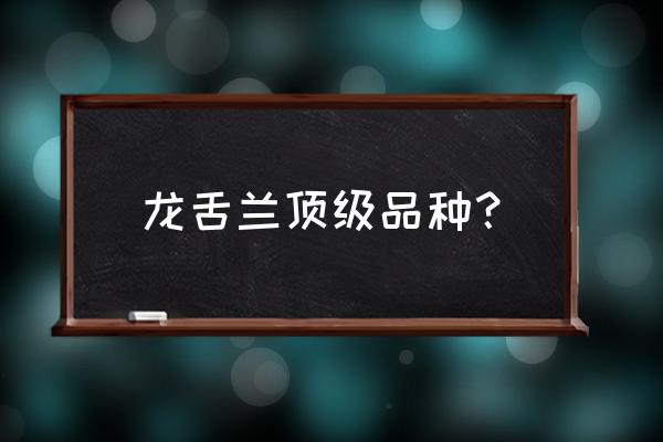 金边龙舌兰食用方法及禁忌 龙舌兰顶级品种？