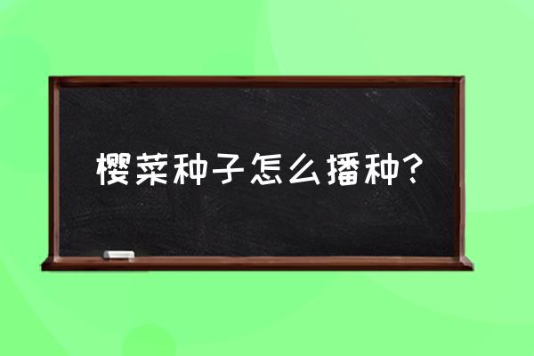 蔬菜种子育苗要什么条件 樱菜种子怎么播种？