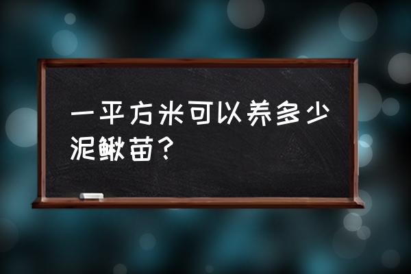 我想养泥鳅哪里有泥鳅苗卖 一平方米可以养多少泥鳅苗？