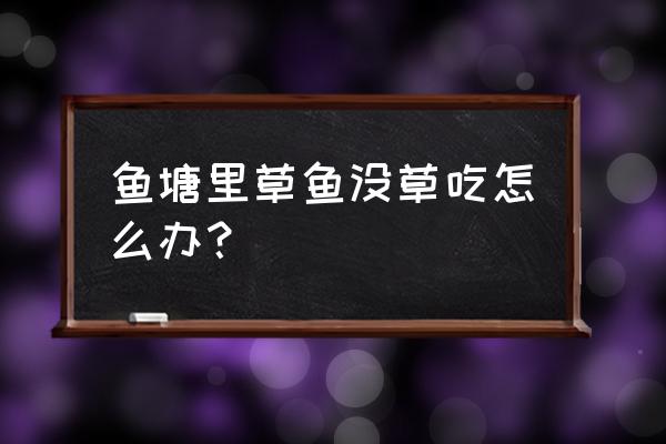 鱼塘养草鱼喂什么长得快 鱼塘里草鱼没草吃怎么办？