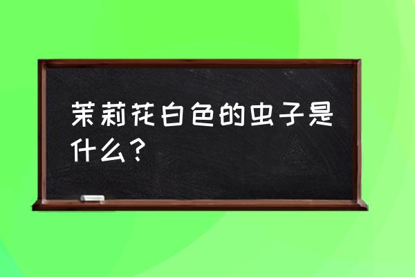 樱花树叶发黄卷叶是什么原因 茉莉花白色的虫子是什么？