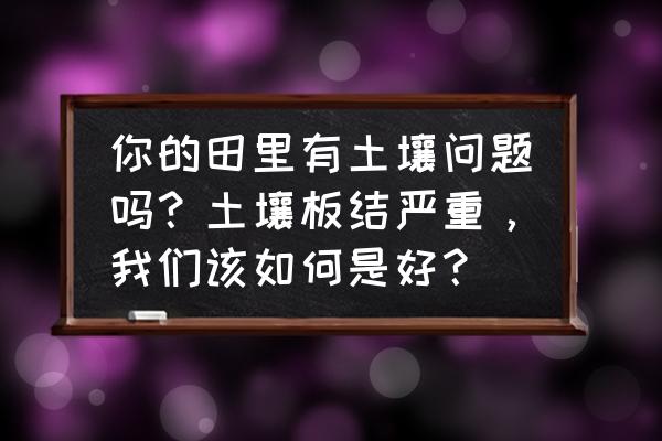 土地污染的对策和建议 你的田里有土壤问题吗？土壤板结严重，我们该如何是好？