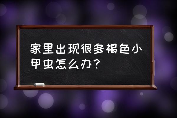 豆类除虫最好方法 家里出现很多褐色小甲虫怎么办？