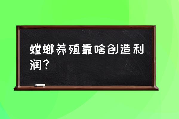 地鳖虫的寿命是多少年 螳螂养殖靠啥创造利润？