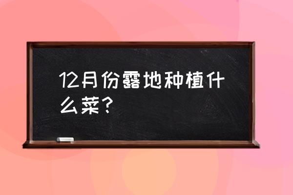 露地生菜种植全过程 12月份露地种植什么菜？