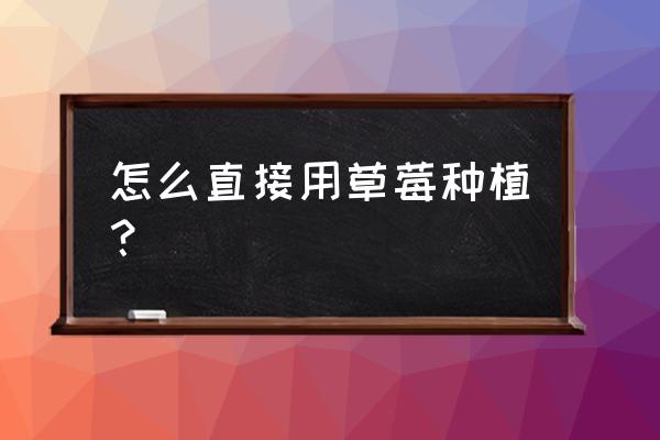 家庭如何种植草莓全教程 怎么直接用草莓种植？